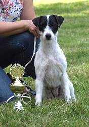 Ragagast Tarannon auf der Ausstellung Ragagast Tarannon auf der Ausstellung